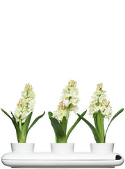 Trio herb pot