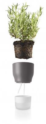 Eva solo - Self watering plant 11cm