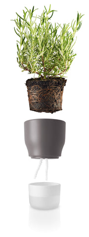 Self watering plant pot 11cm Nordic grey