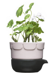 Double-barelled growing pot  pink