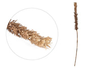 Decor Kvist Grasses dark plastic L100